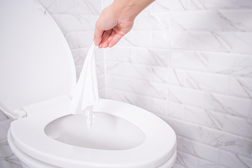 flushable wipes placed in toilet